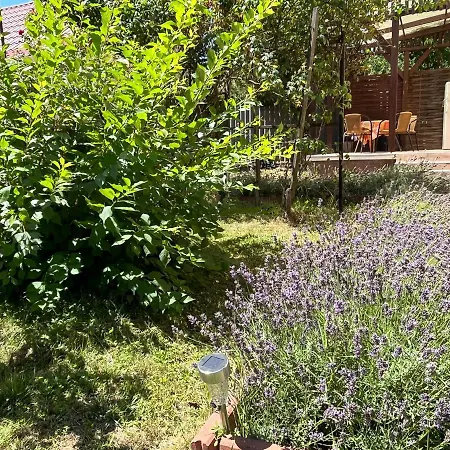 Rose Garden Siófok