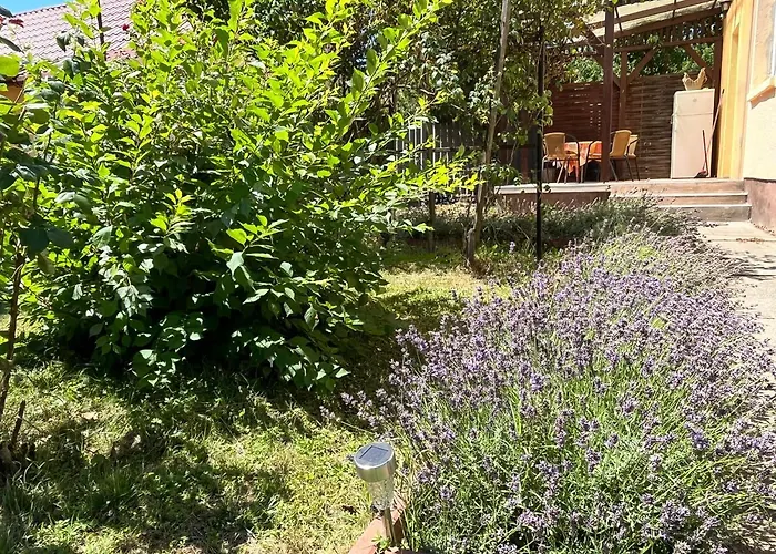 Rose Garden שיופוק